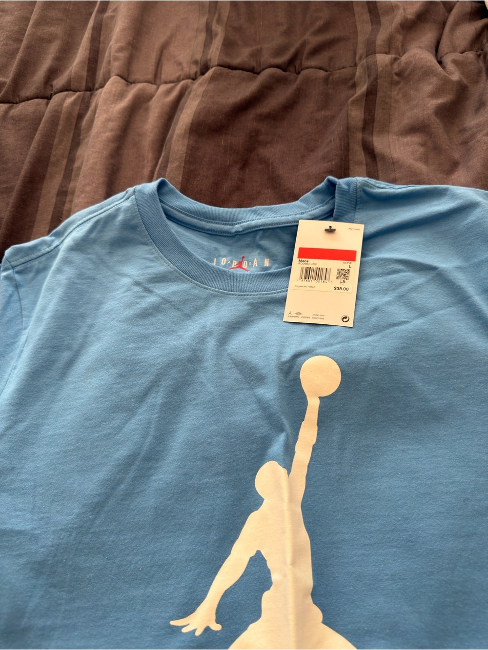 Jordan Light Blue Tee with White Jumpman Graphic